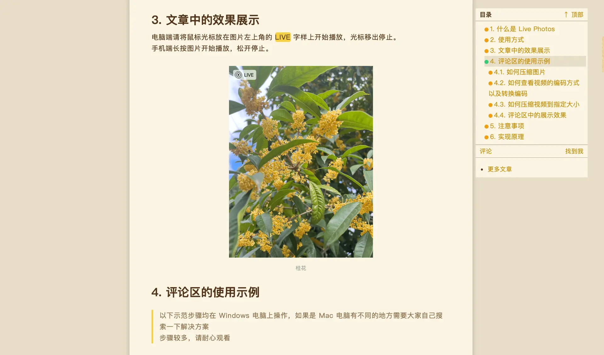 自己抄的