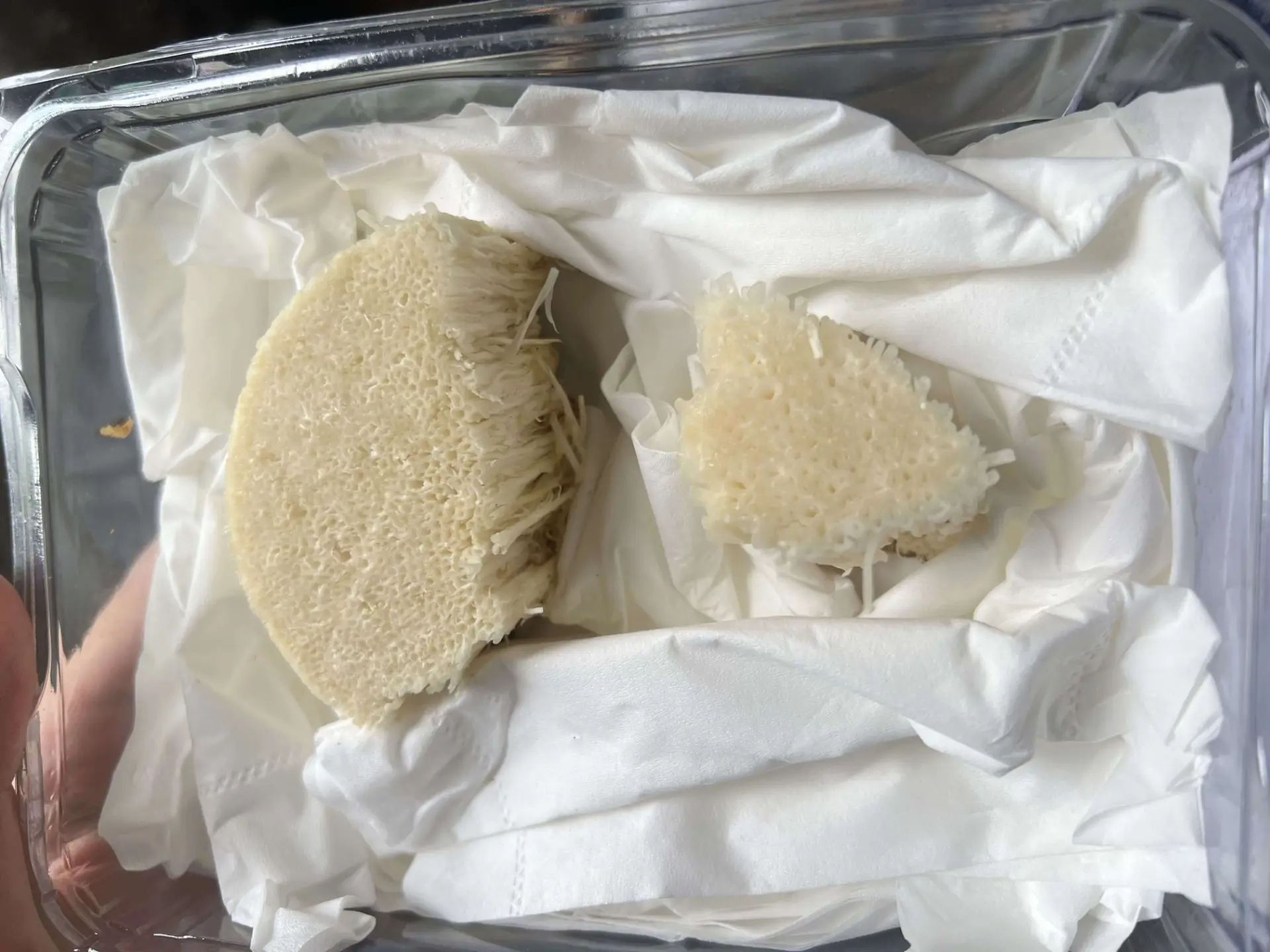 会再长出新的金针菇吗?