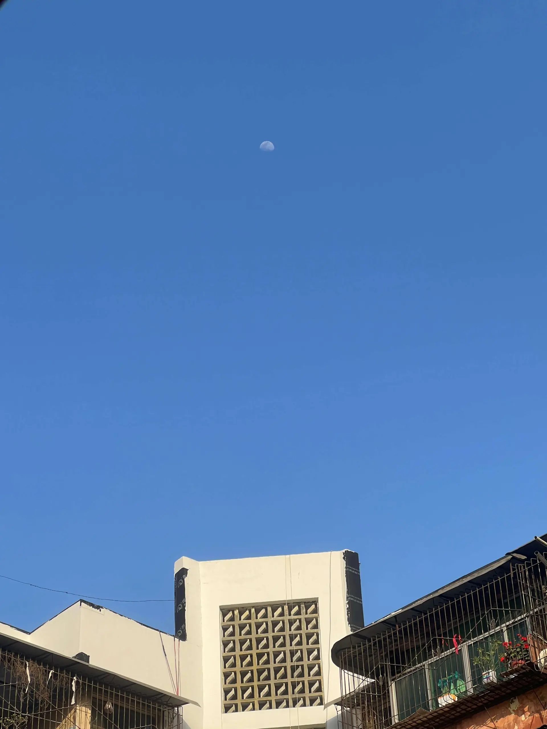 蓝天白月